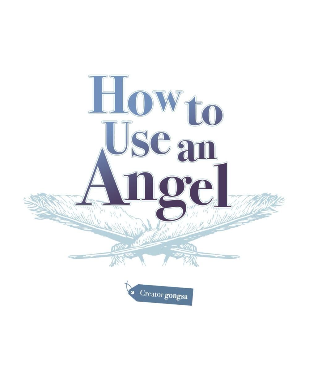 How to Use an Angel 20 (1)